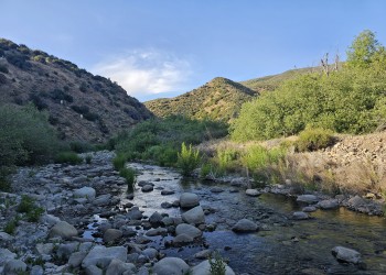 A seasonal mountain stream in the Los Padres National Forest near the Tejon Pass