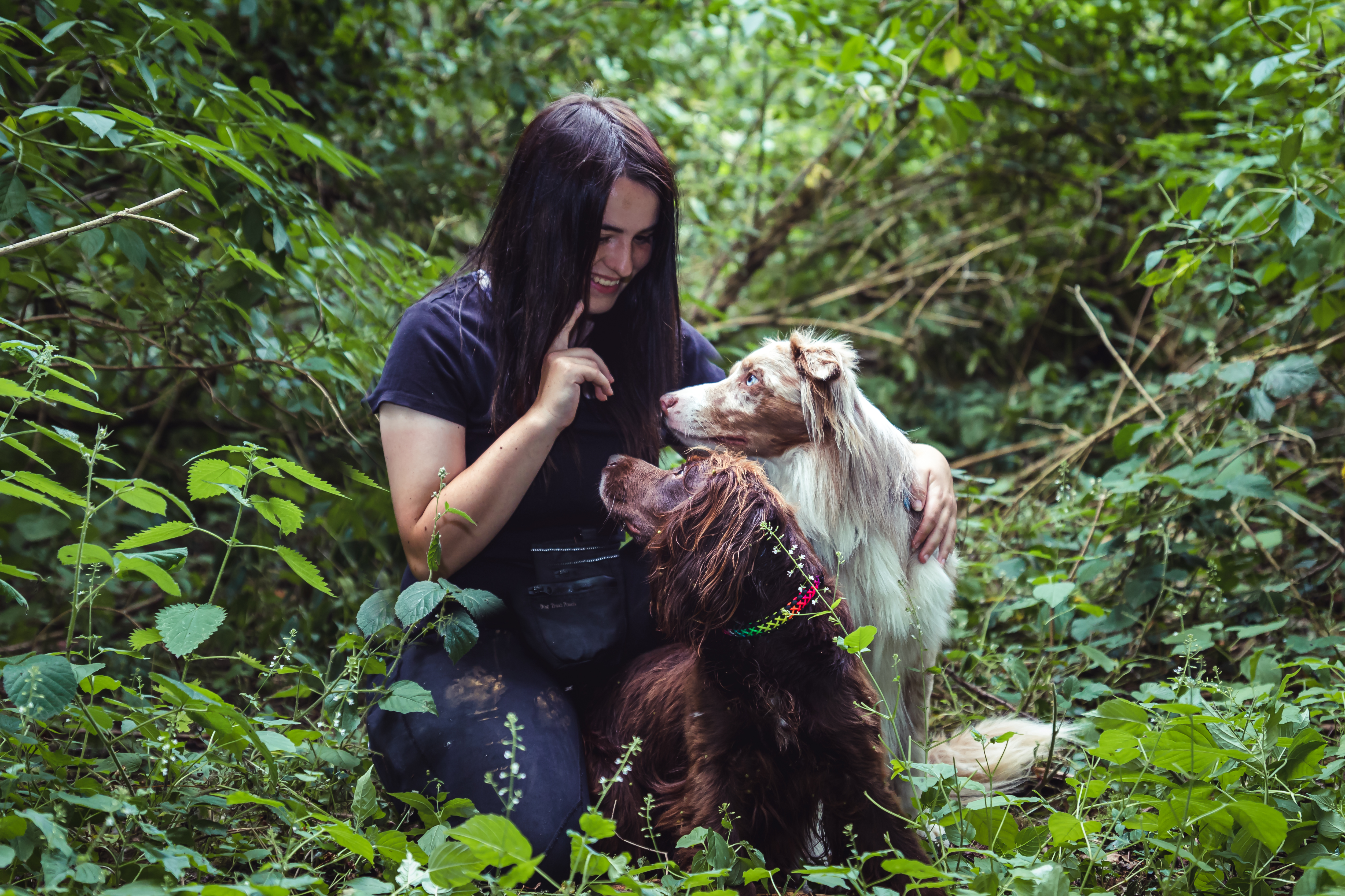 A dog walker with dogs in the countryside
