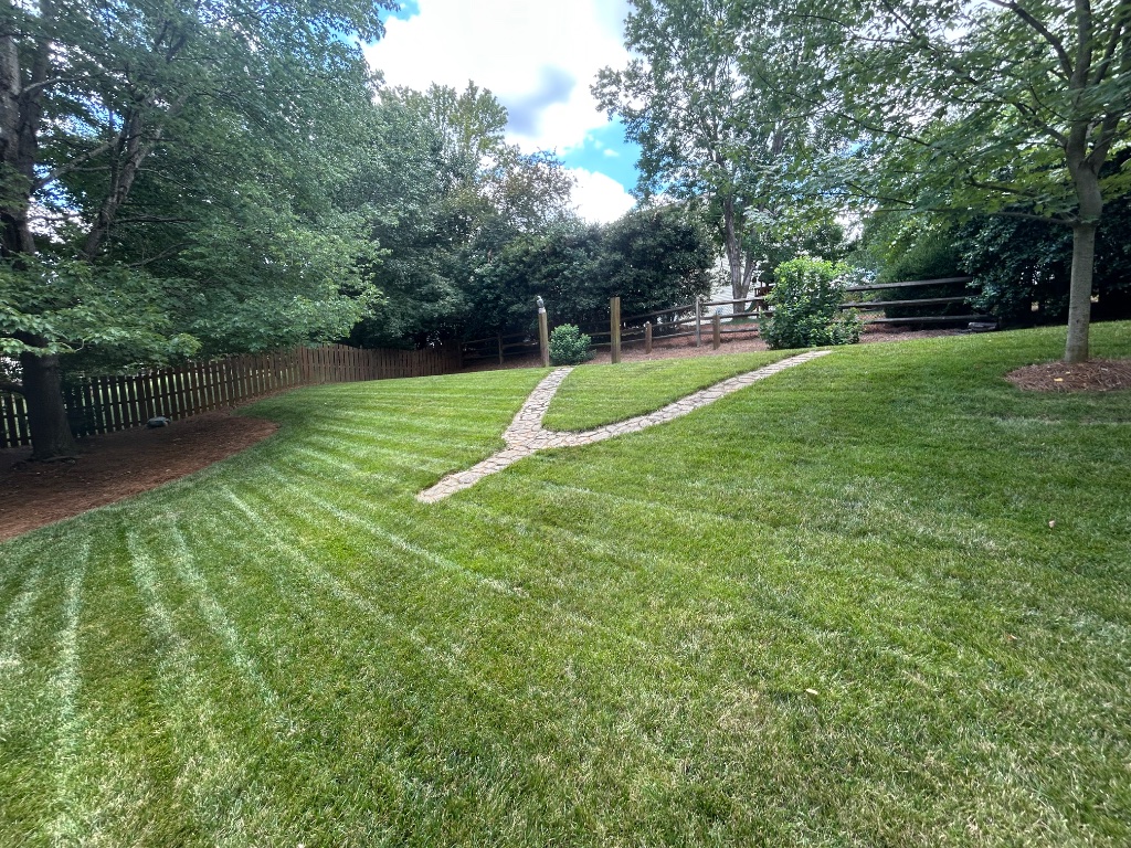 Backyard Lawn & Stone Path