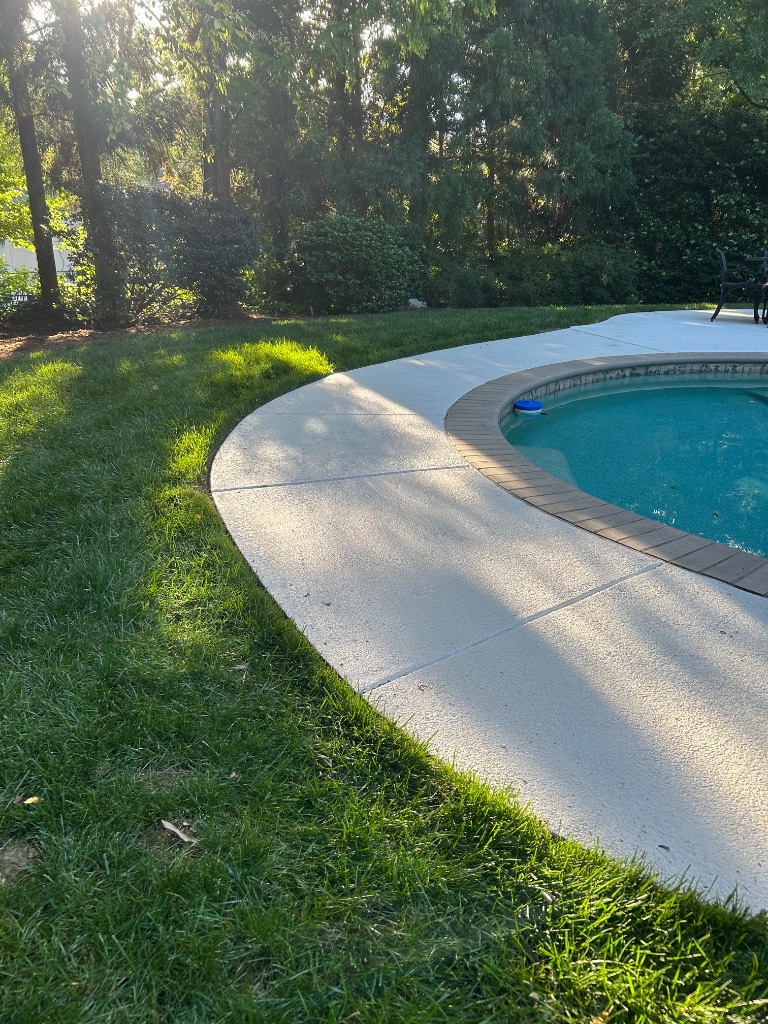 Owner's garden work