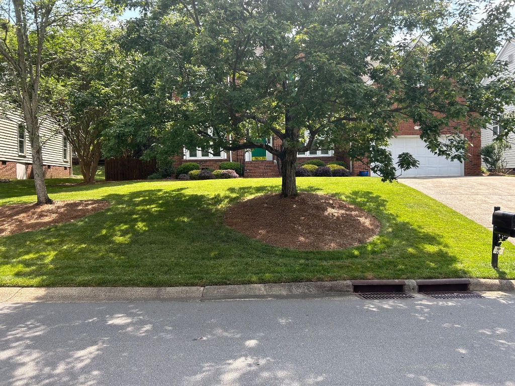 Manicured Ballantyne lawn — professional lawn care and mowing in Charlotte, NC