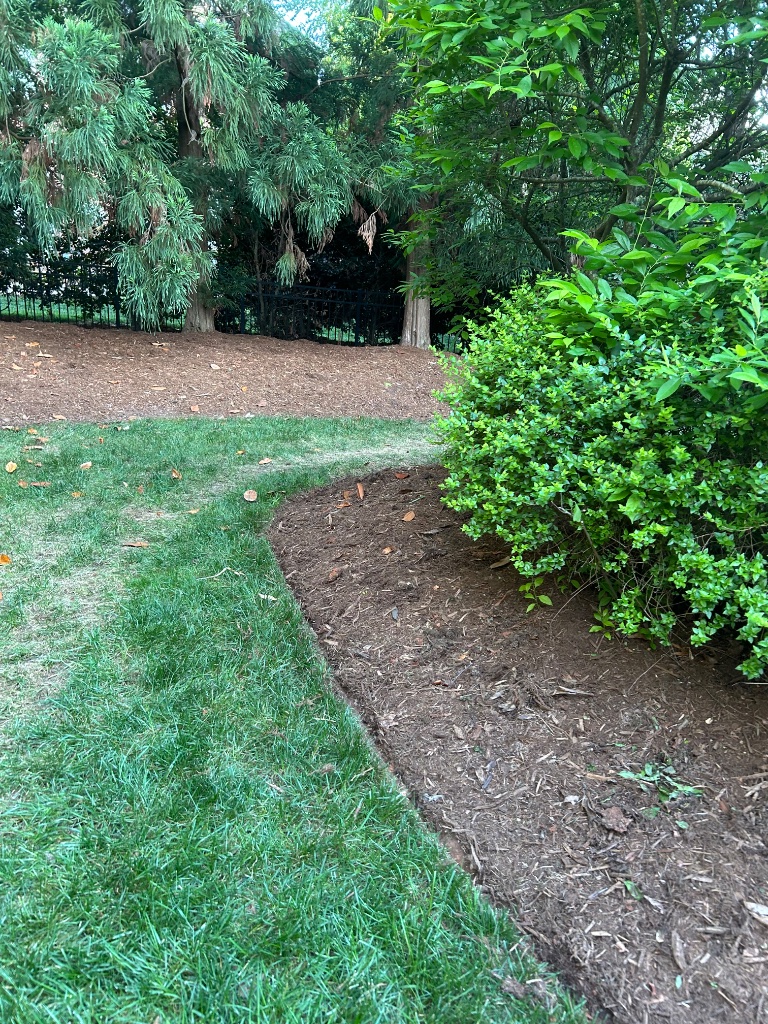 Additional Lawn Care service in Ballantyne, Charlotte NC — Charlie's Lawn Care