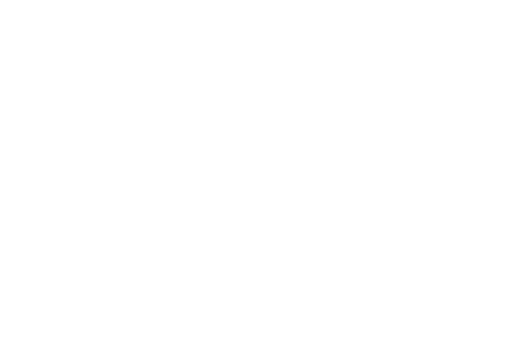 The Ritz-Carlton