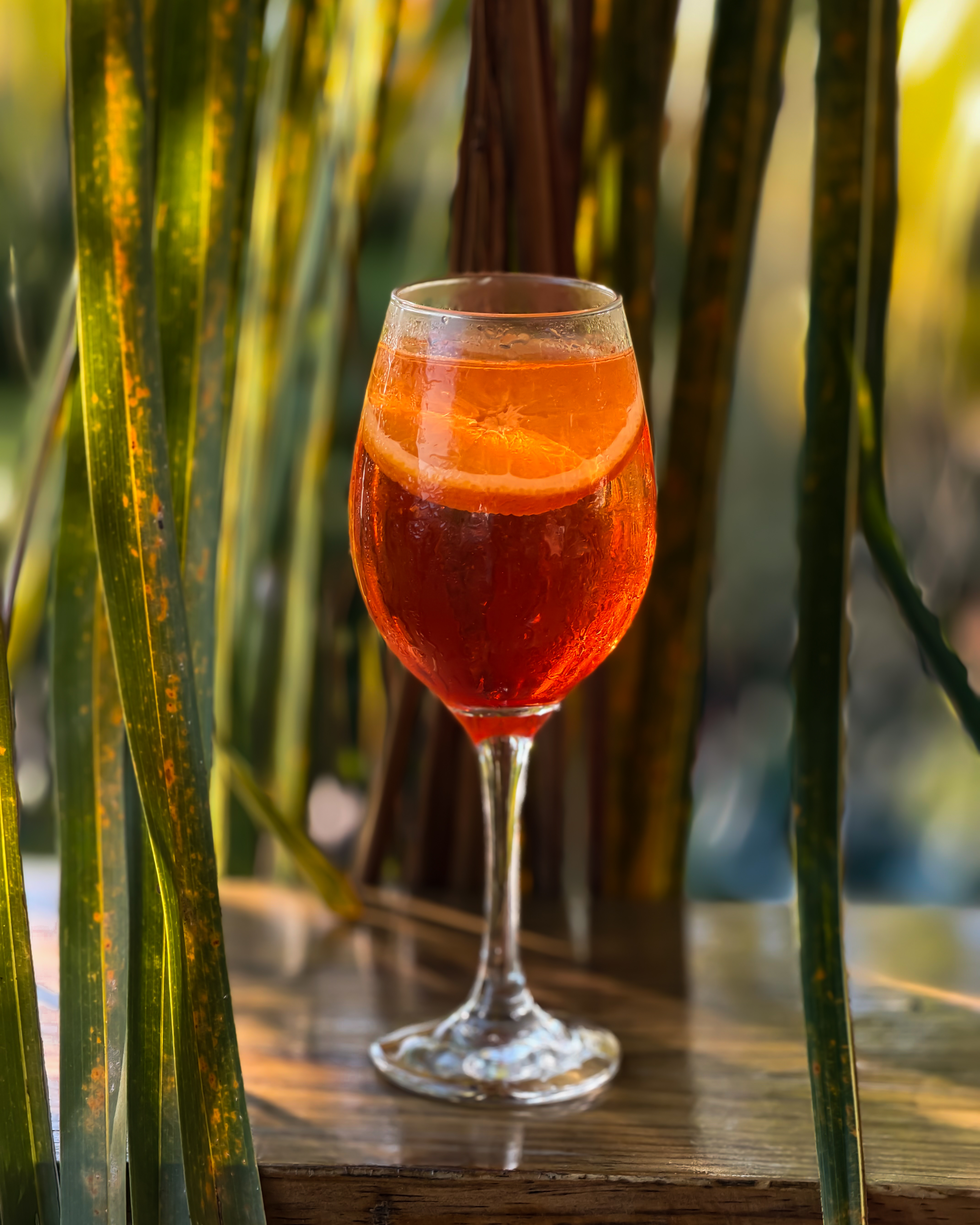 Aperol Spritz with orange slice