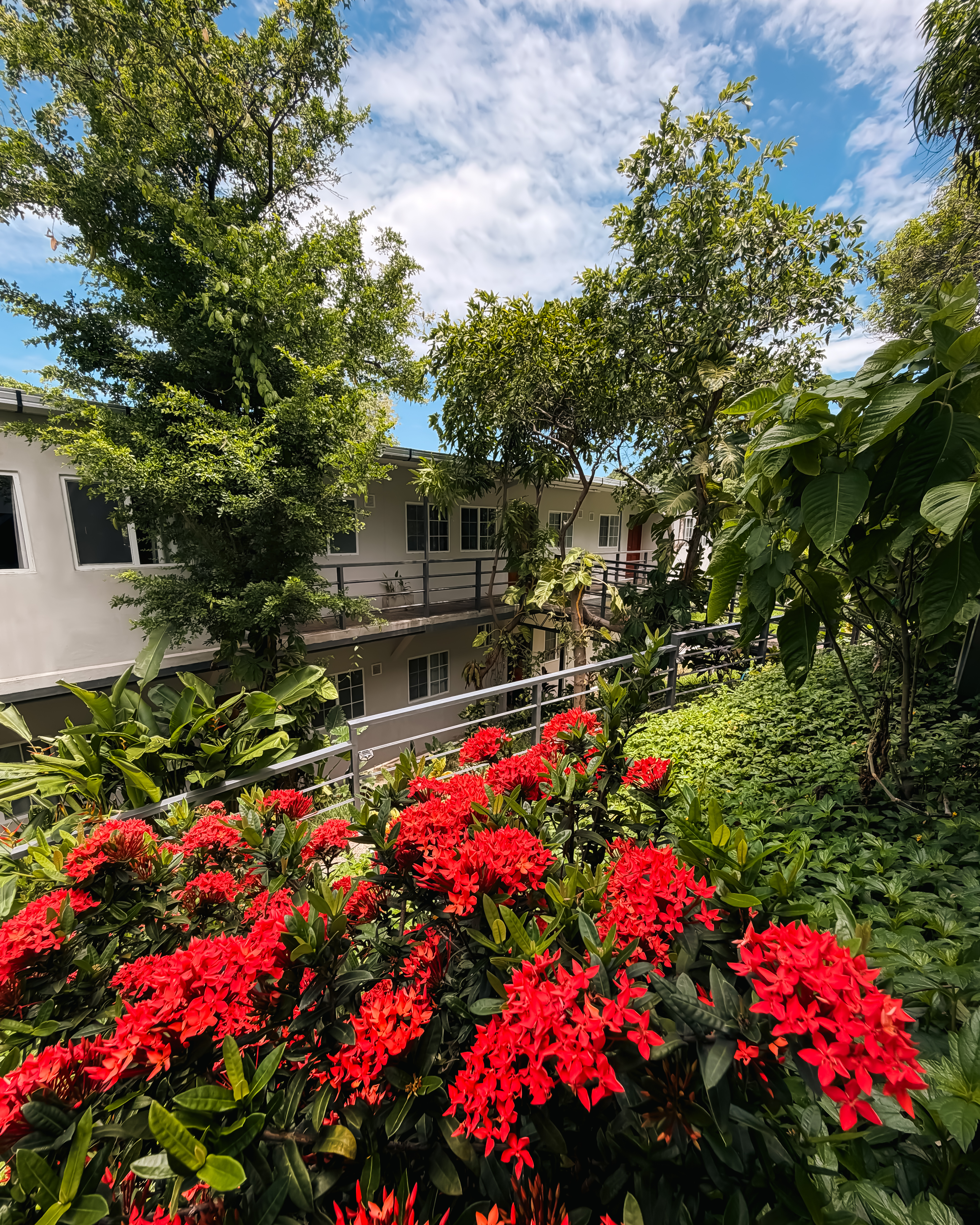 Tropical gardens at El Xalli