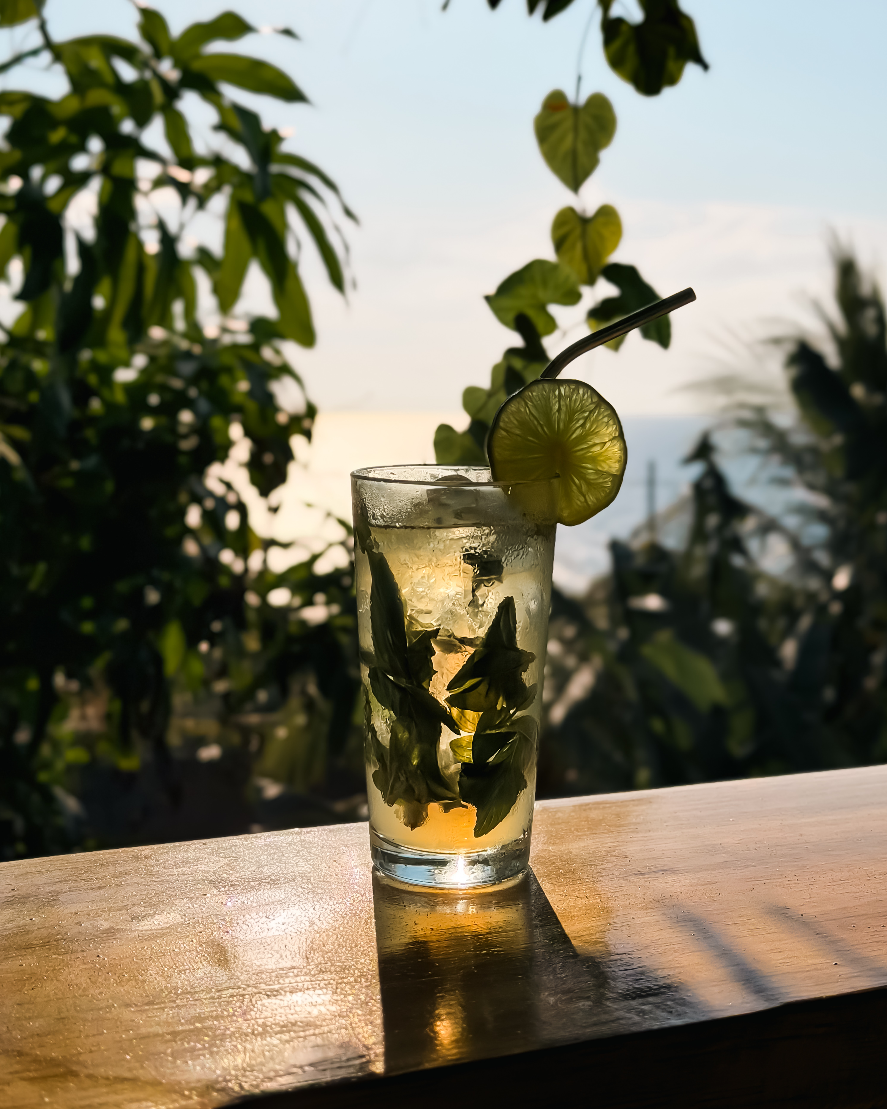 Fresh mojito with mint