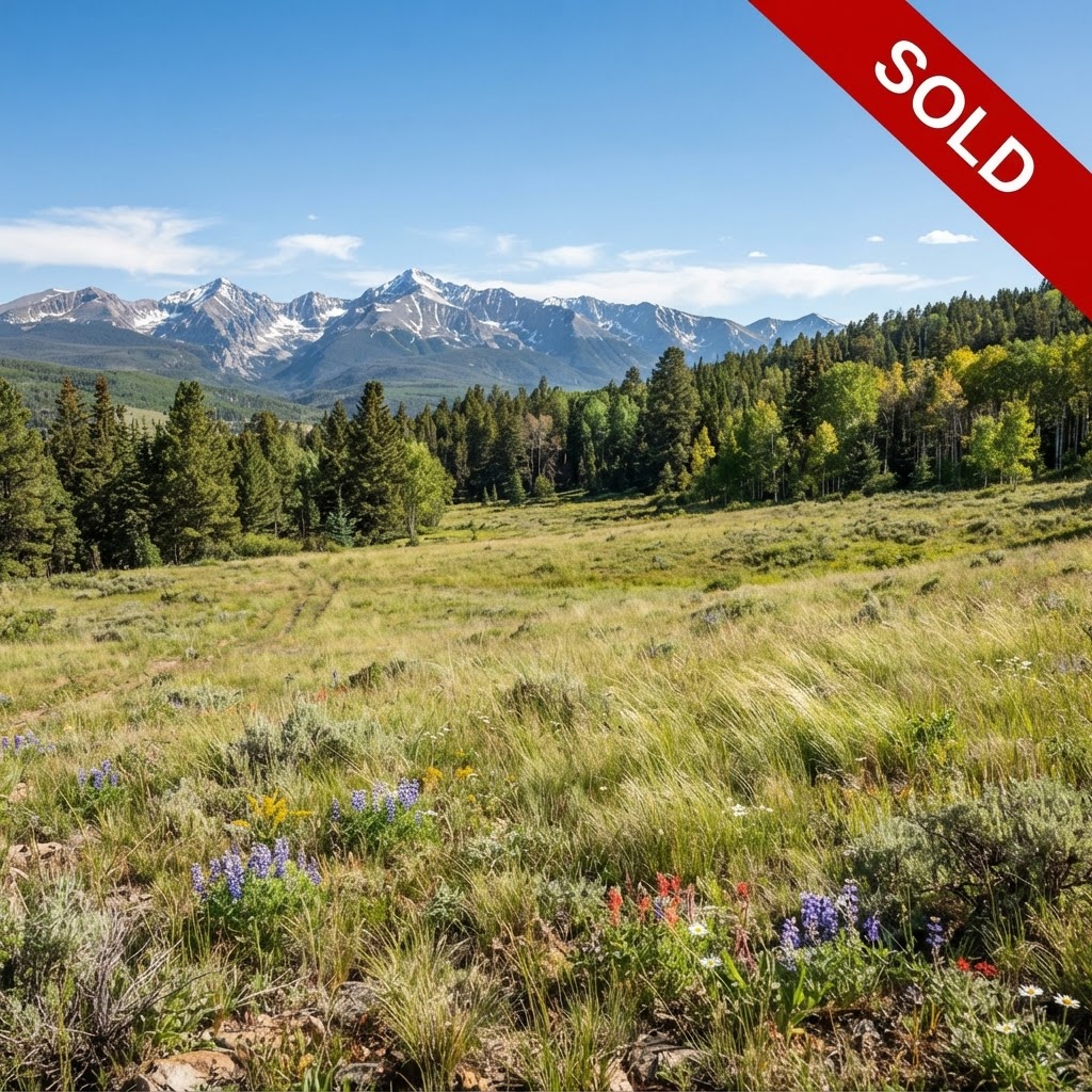 Colorado Mountain Retreat - 10 Acres