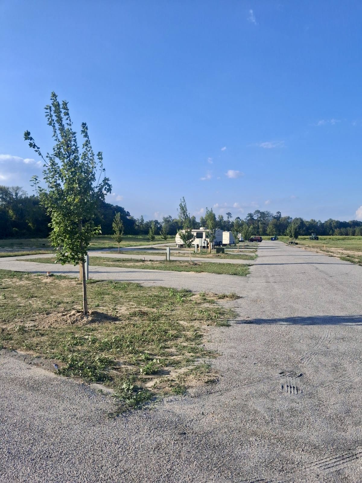 Paved road lined with full-hookup pedestals and young trees at Two Carolinas RV Park