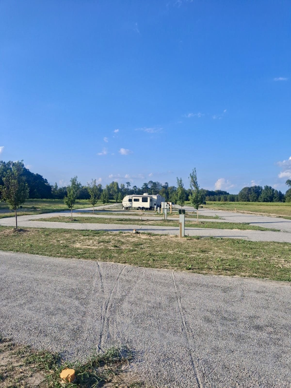 Travel trailer parked on a gravel pad with young trees along the driveway