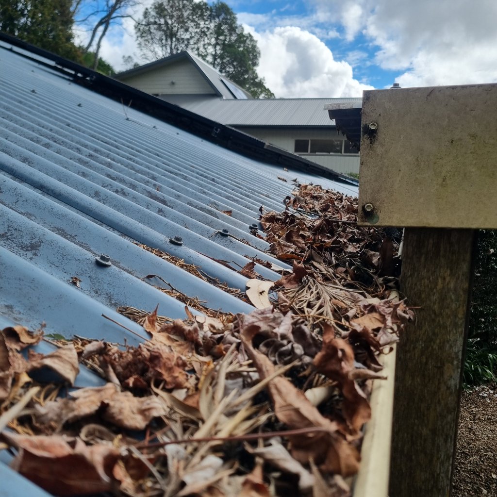 Gutter full of debris — time for a clean! 🍂