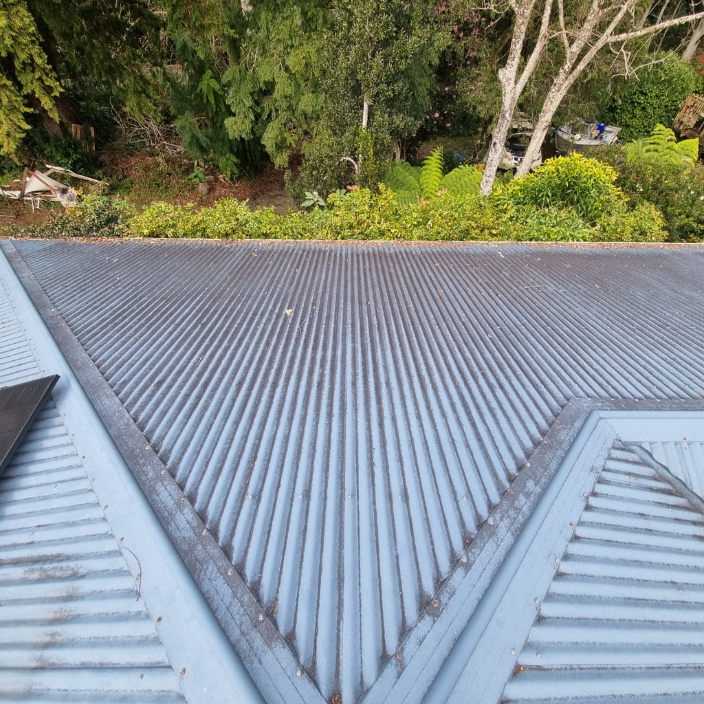 Detailed roof wash — every panel inspected 🔍