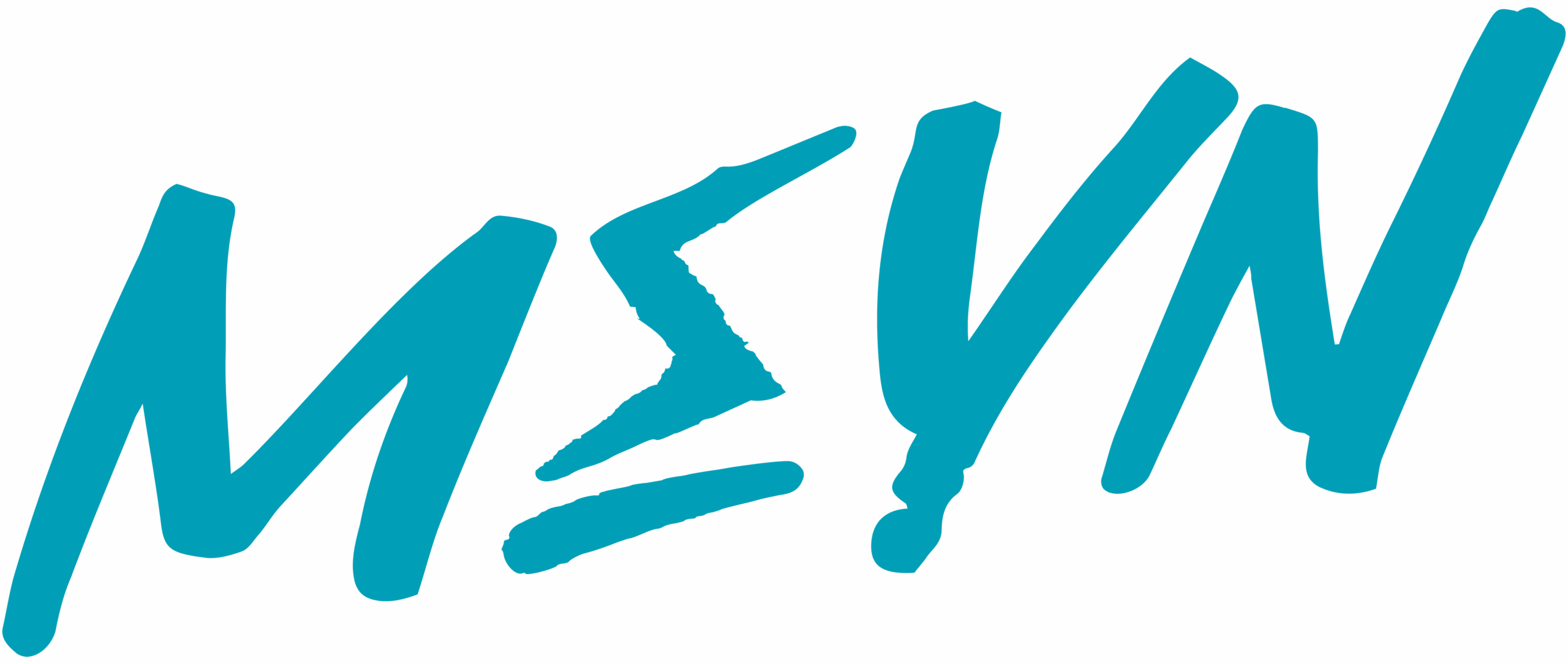MEYN