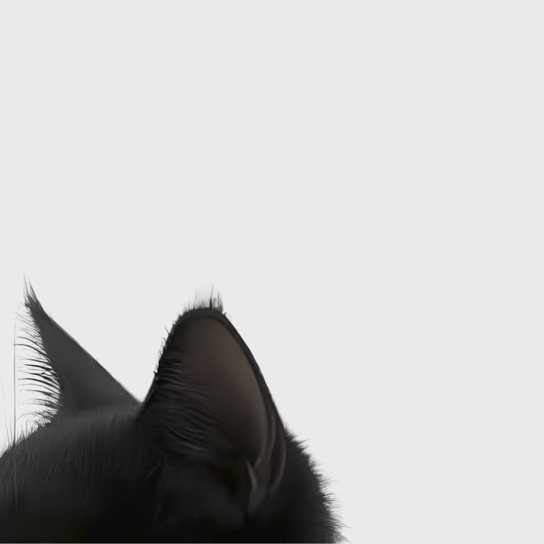 Zaky mascot
