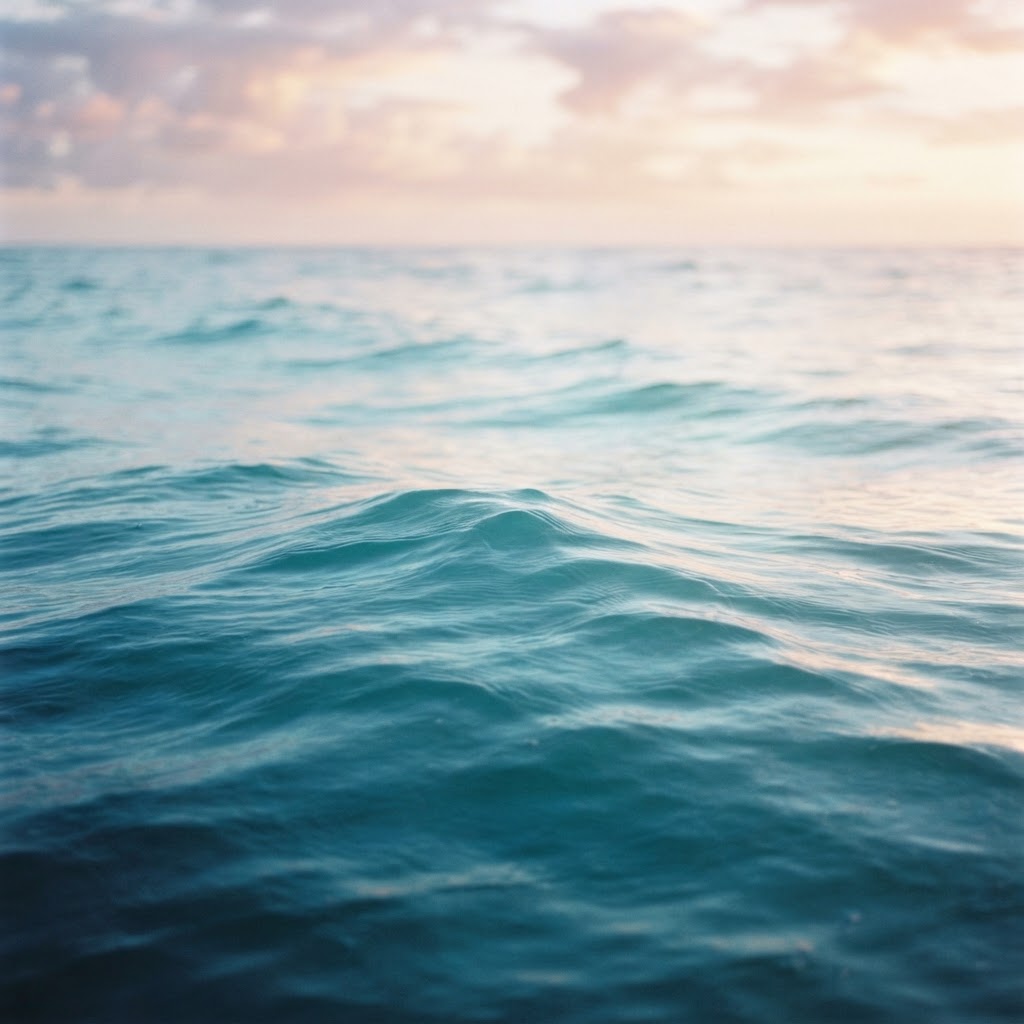 After the Impact — Recovery essay in The Hartter Journal