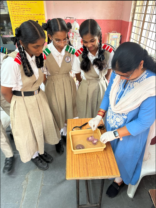 Hands-On Science