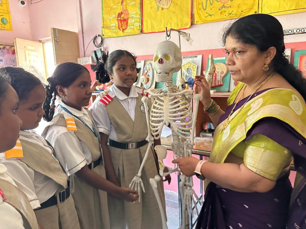 Students learning with a skeleton model