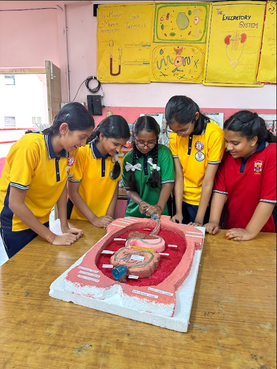 Project-Based Learning