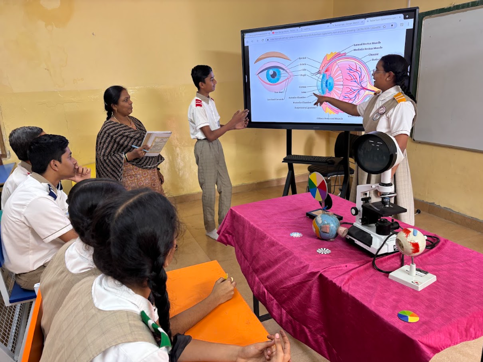 Competency-Based Assessment