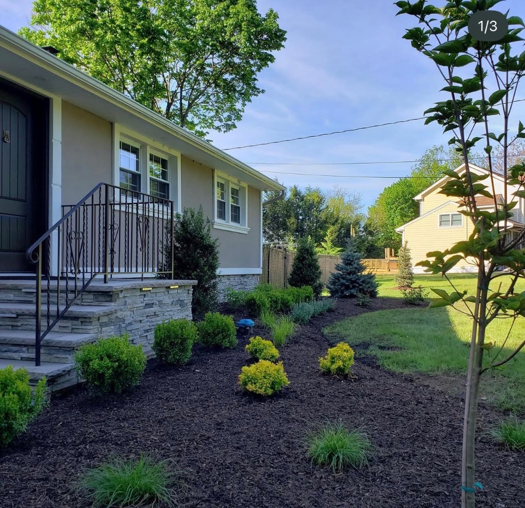 Foundation Planting & Stone Step Renovation