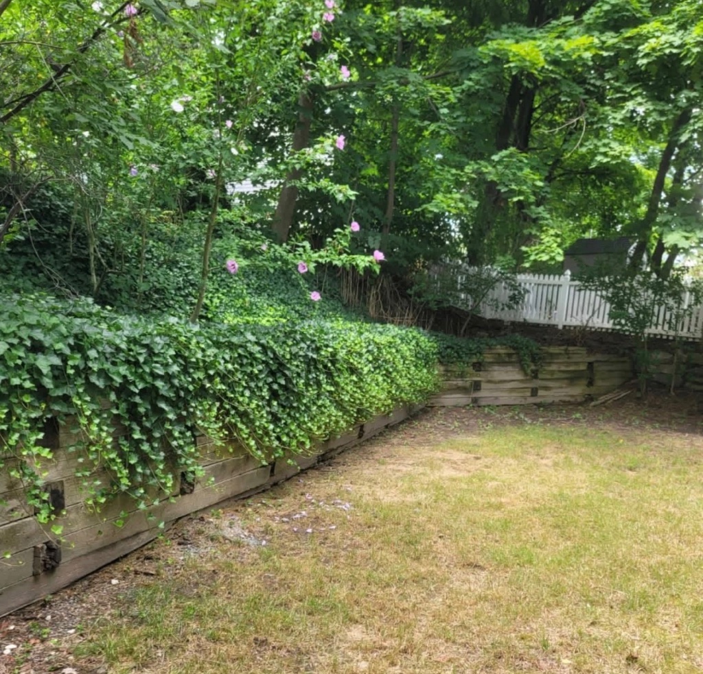Backyard Patio & Retaining Wall — before