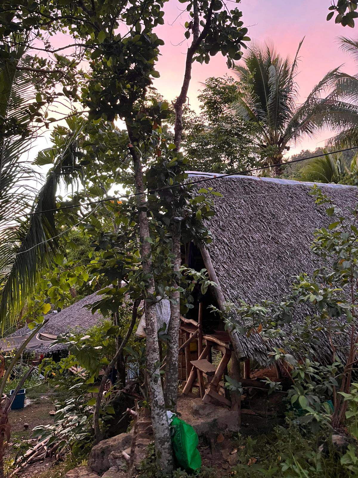 Rustic bamboo A-frame hut with thatched roof nestled in tropical vegetation