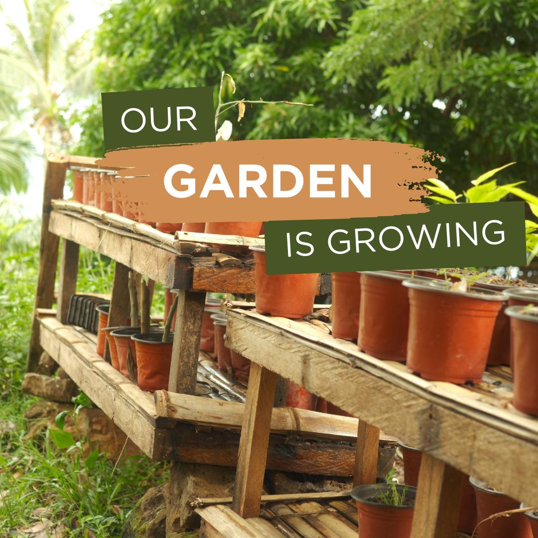 Permaculture Design