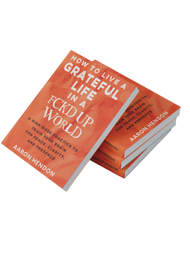 How to Live a Grateful Life in a Fckd Up World — book cover