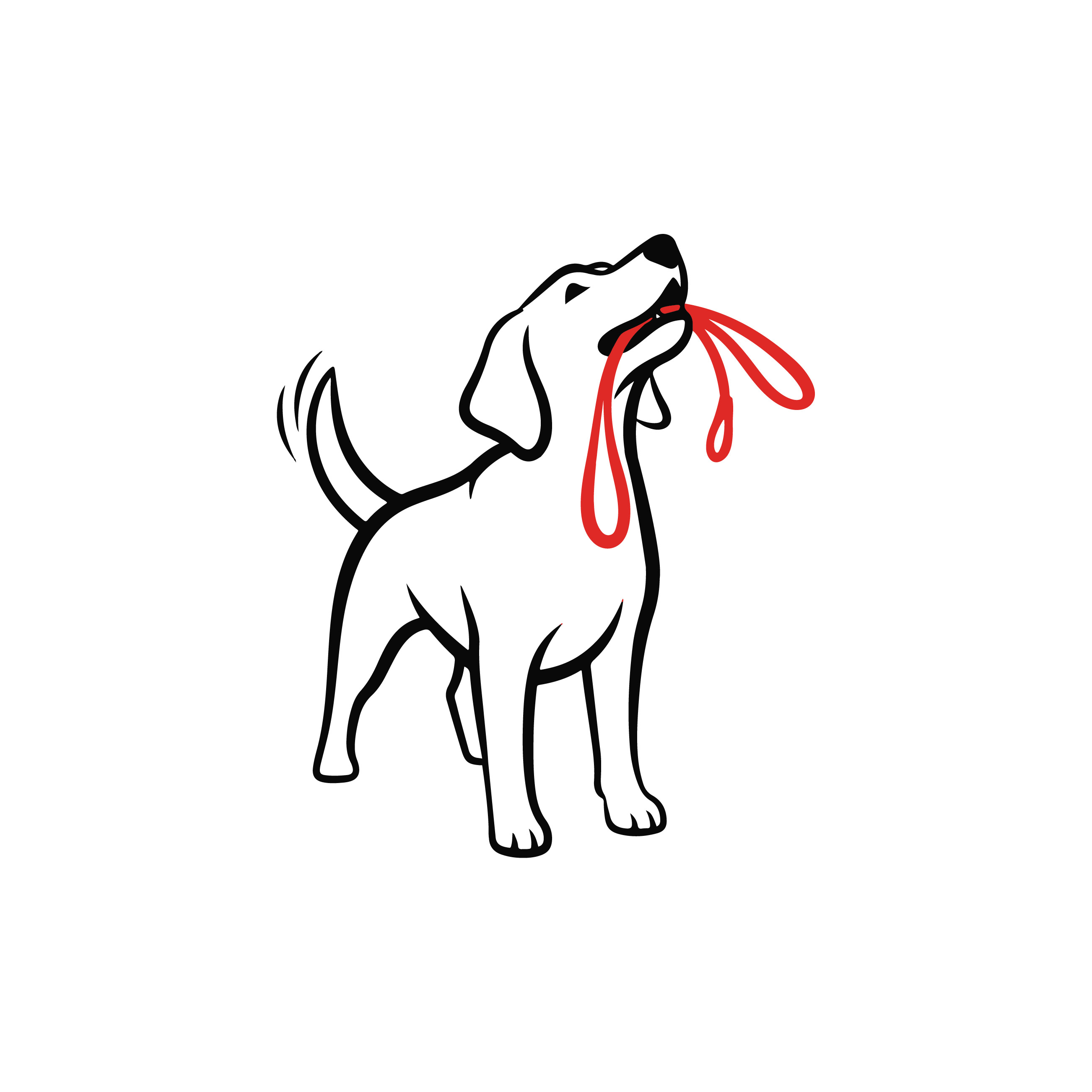 Canine Obedience Coaching