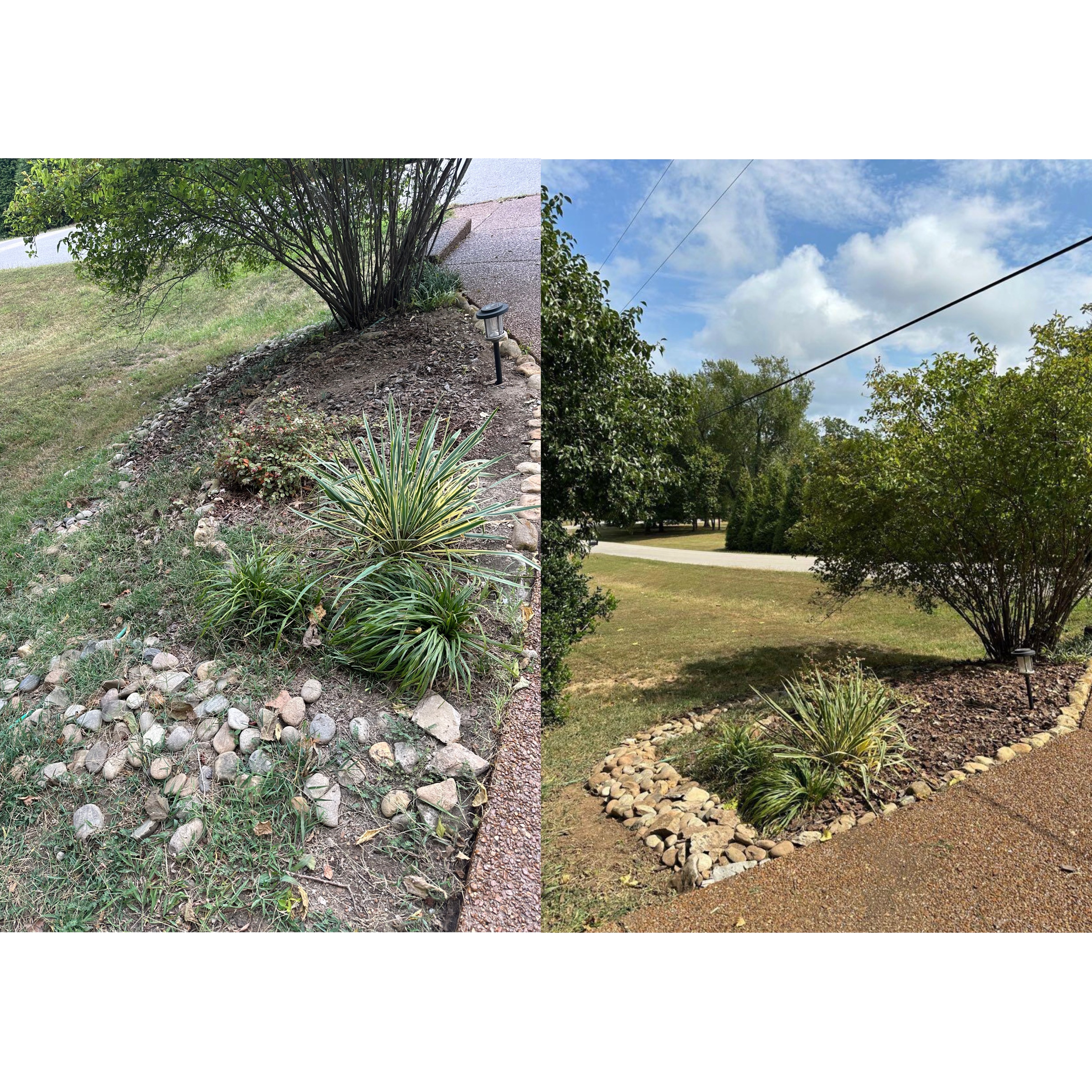 Landscaping & Mulch Bed