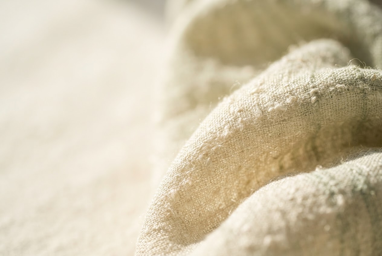 Soft natural light across raw silk