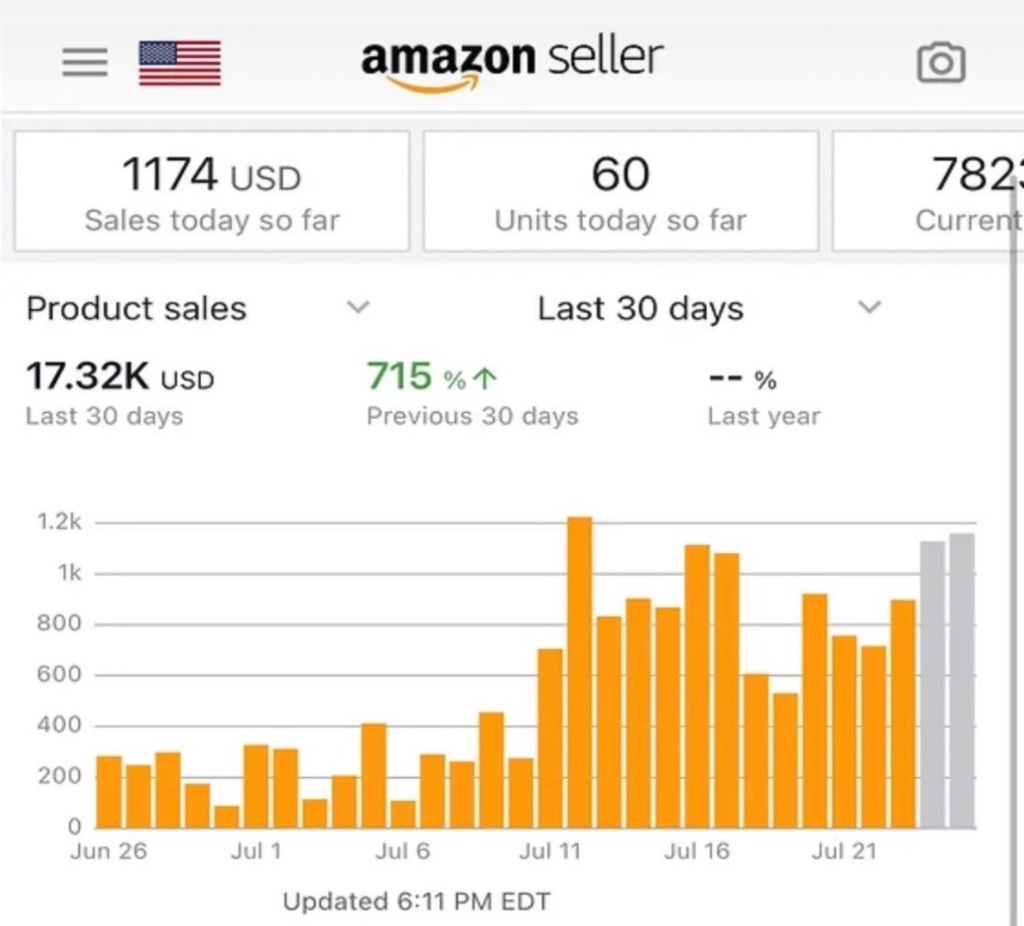 Real Amazon Seller dashboard sales