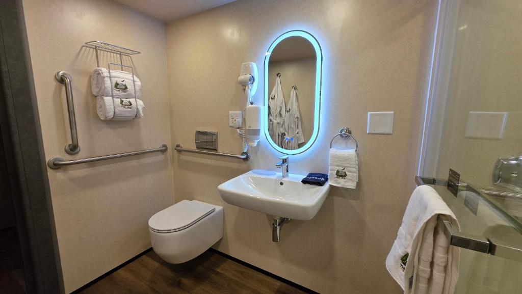 Vanity and grab bars in a dome bathroom
