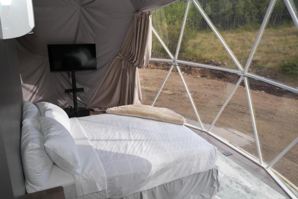 Bed and TV inside a dome with window view