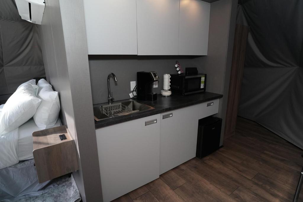 Kitchenette inside a dome