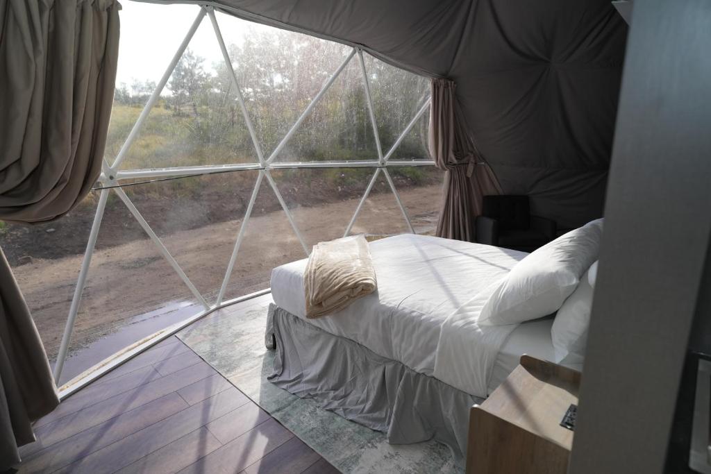Bed beside the dome's geodesic window