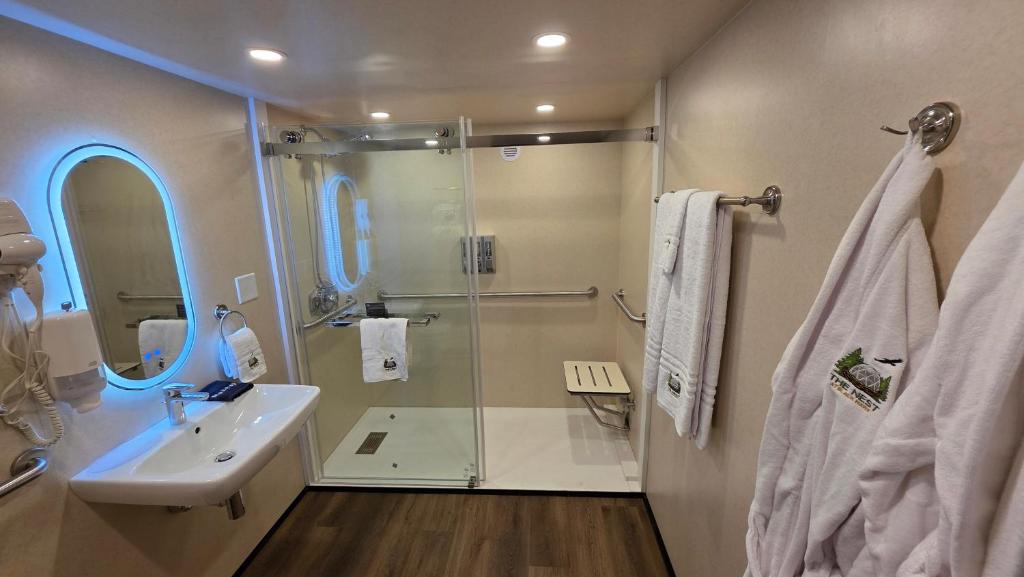 Bathroom with walk-in shower inside a dome