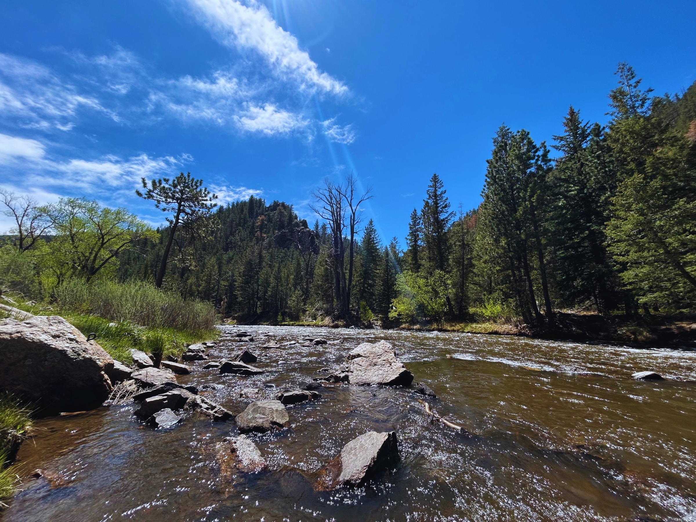 Rocky river flowing through a forested mountain valley