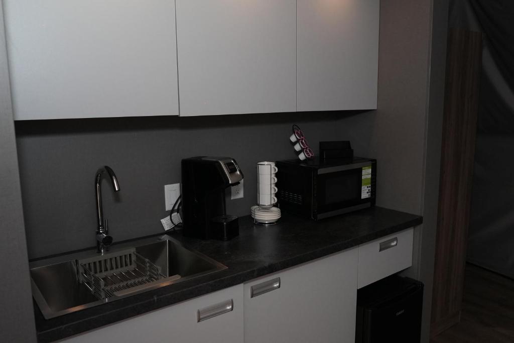 Kitchenette inside a dome
