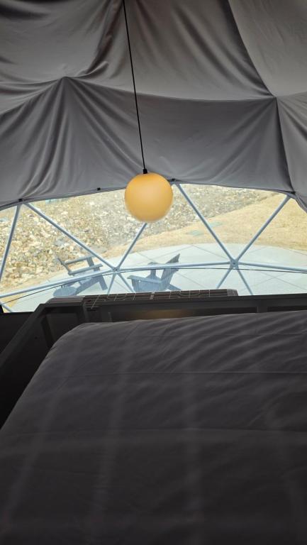Bed beneath the dome's pendant light
