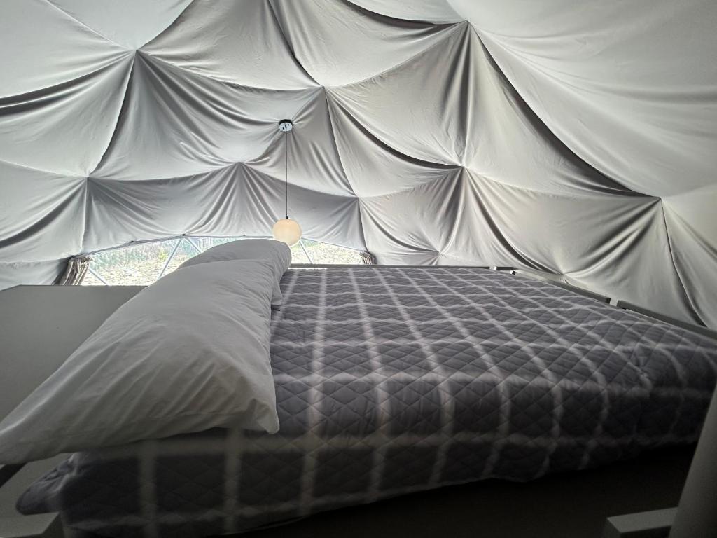 Bed beneath the dome's pendant light