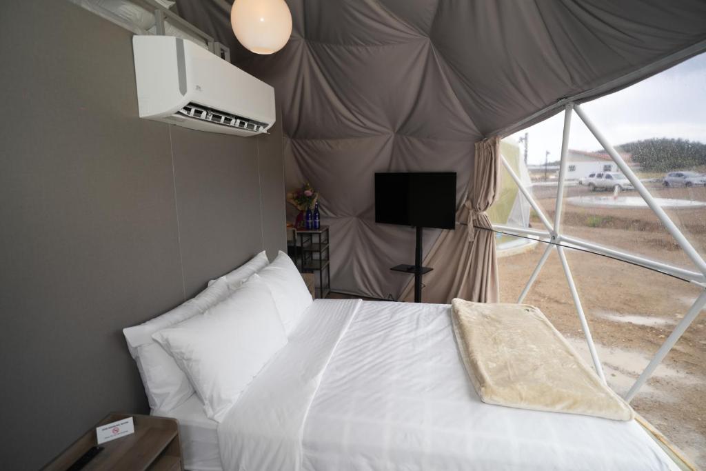 Bed and pendant light inside a dome