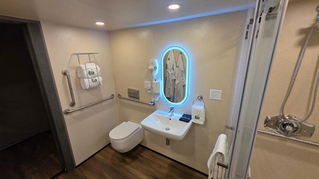 Accessible bathroom inside a dome