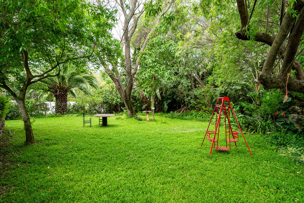 Garden lawn with swing set