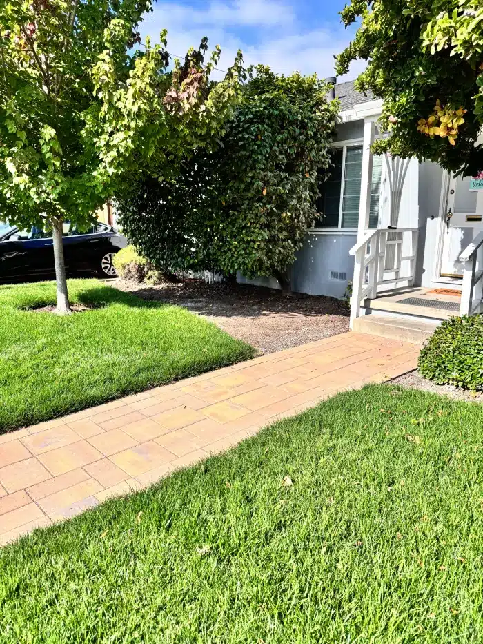 Paver walkway and fresh landscaping
