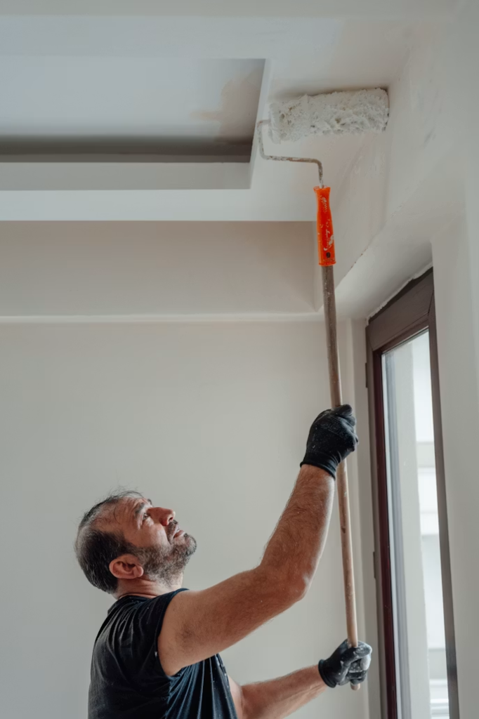 Plaster & Painting