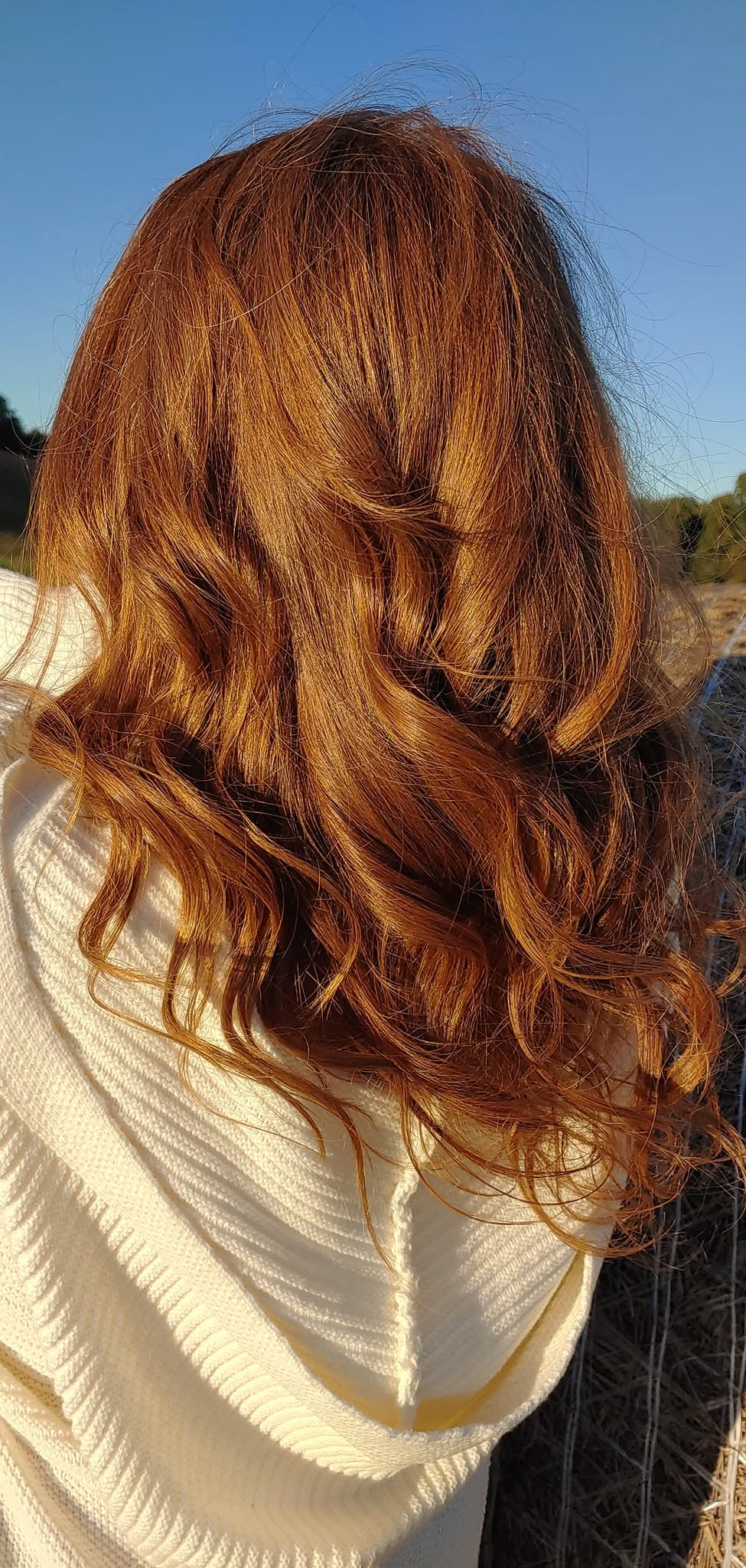 Braided hair with soft natural lighting showcasing artisanal hair styling