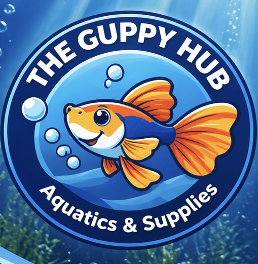 GuppyHub, New Zealand