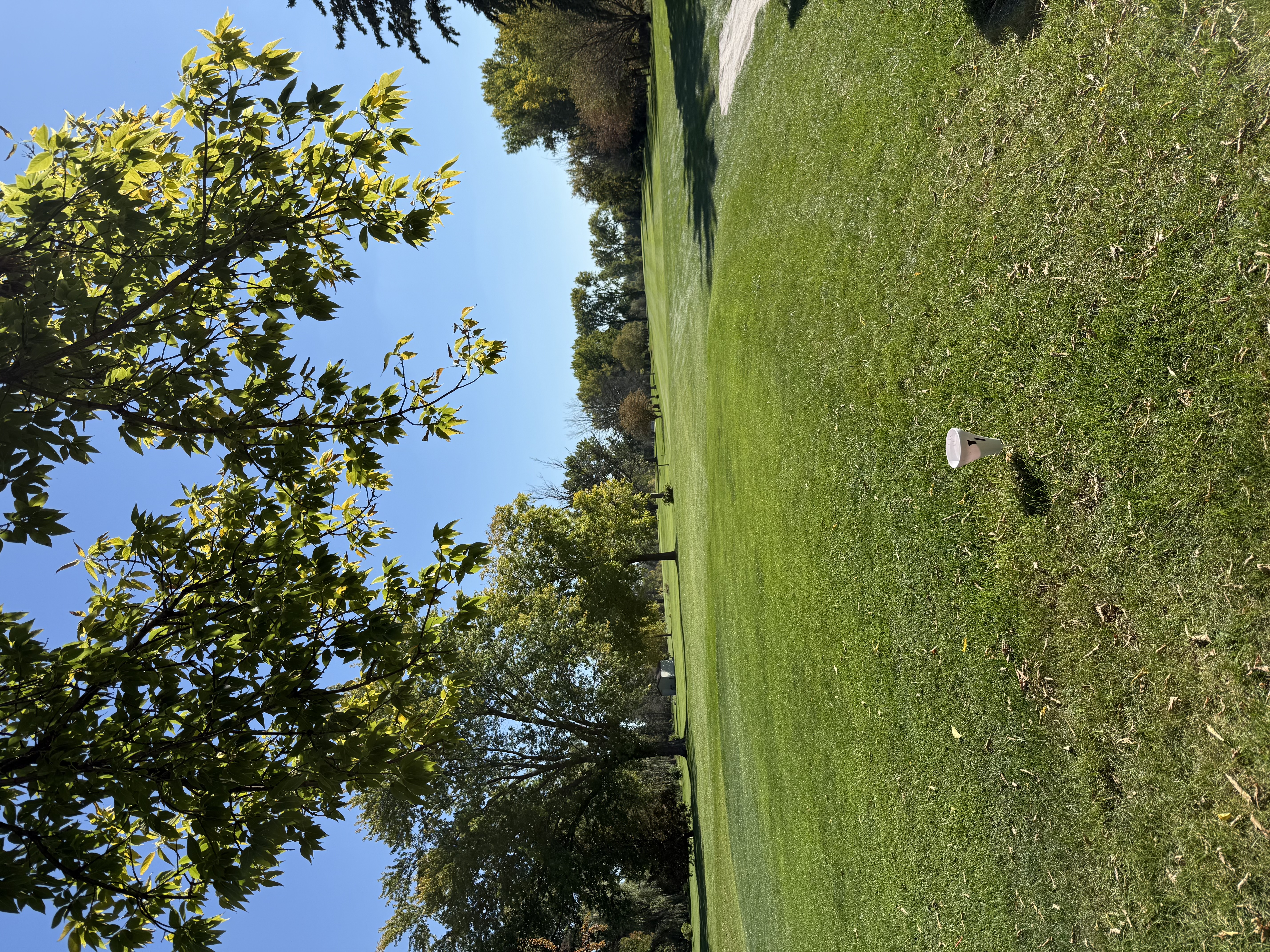 Wedgewood Golf and Grill — course photo 1