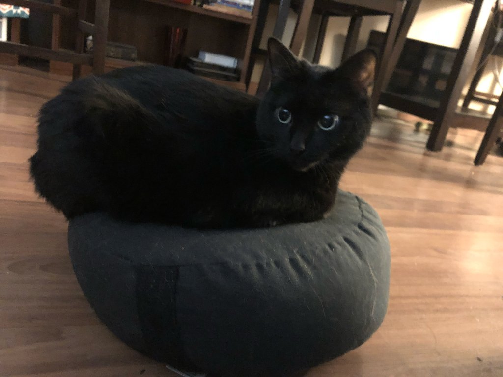On her floor cushion