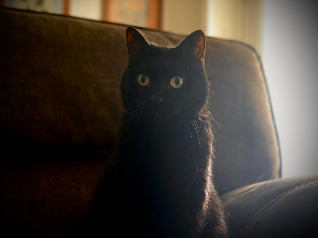 Sita portrait